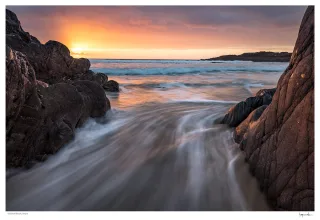 A Rush of Colour