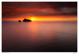 Isle of Isolation