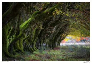 Light at the End of the Tunnel