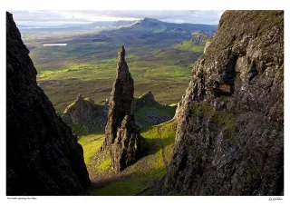 The Needle