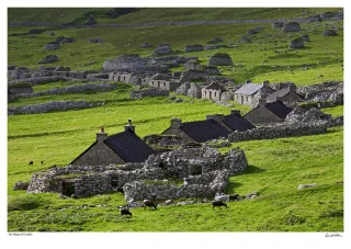 The Village